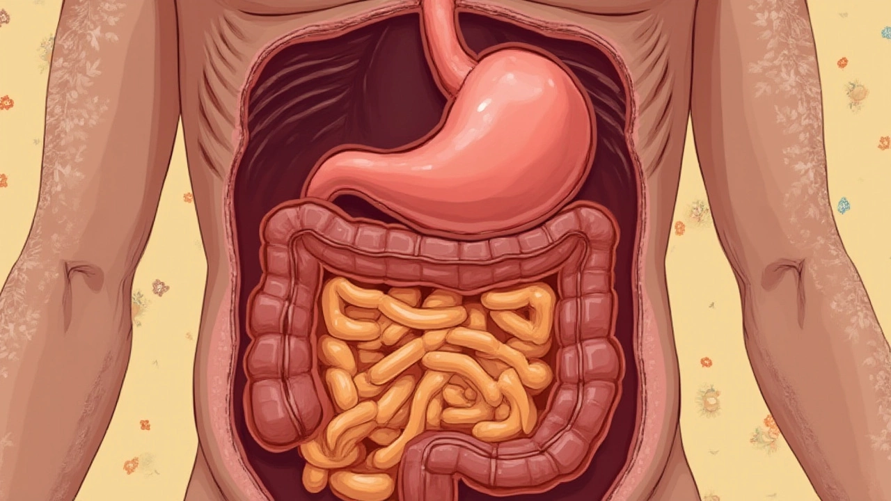 What Absorbs Stomach Acid? Surprising Ways Your Body Handles Gastric Acid